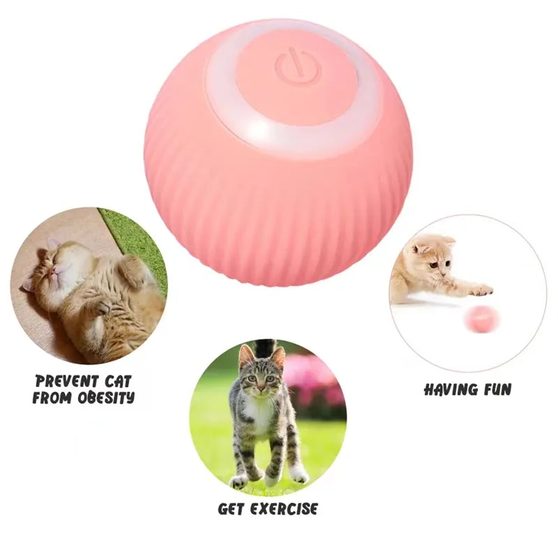 Automatic Rolling Ball For Cats