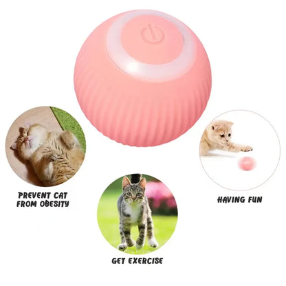 Automatic Rolling Ball For Cats